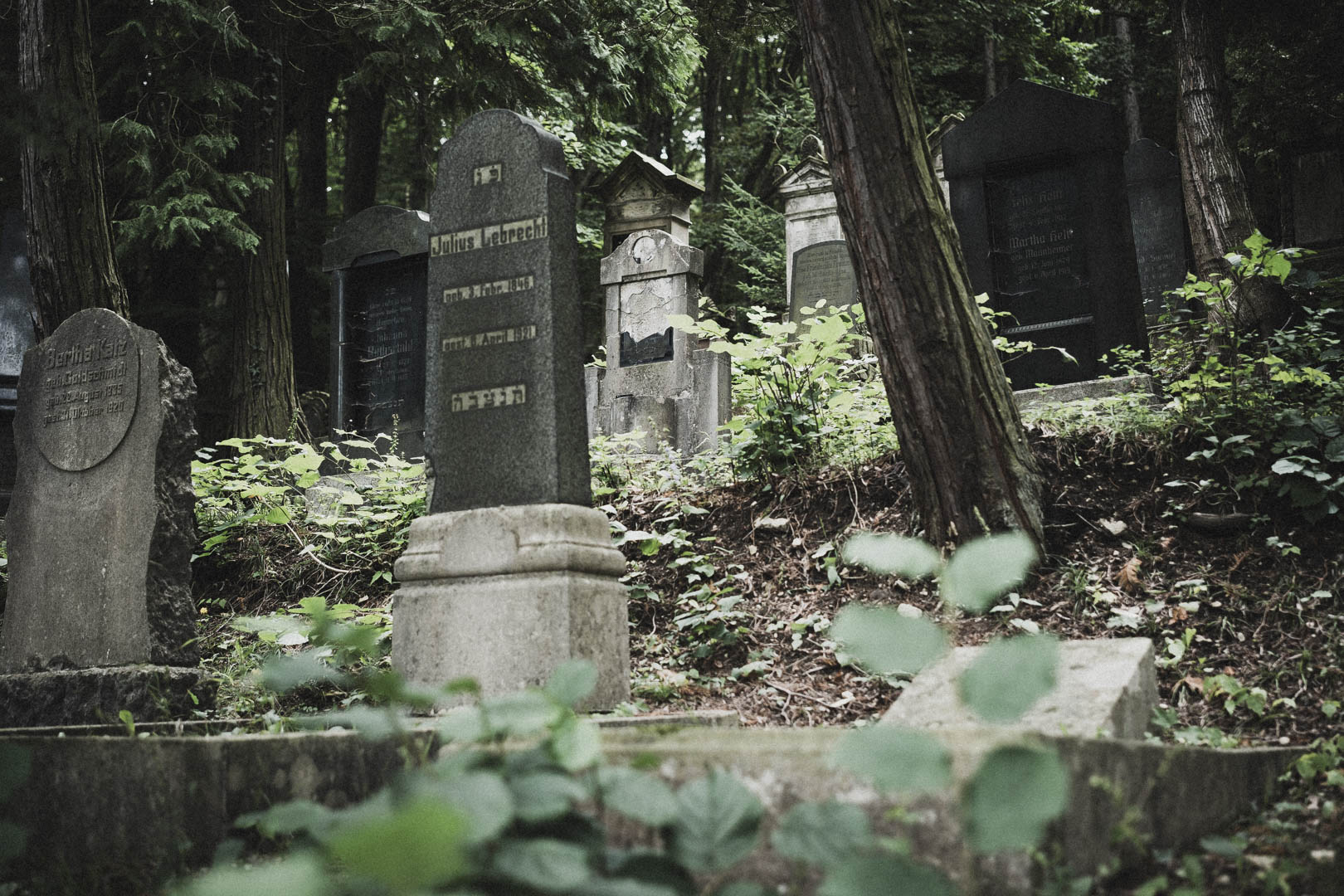 Bleicherode, Jüdischer Friedhof